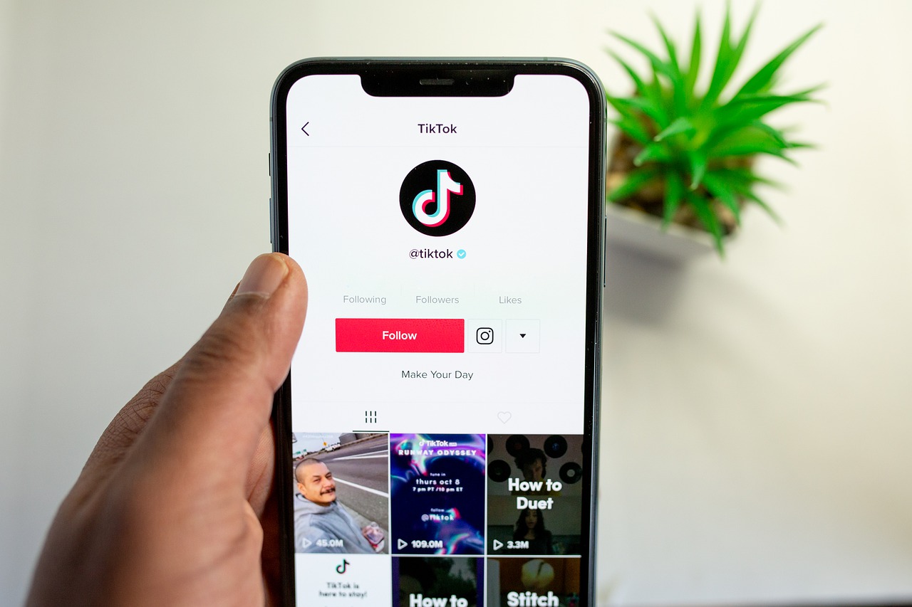 TikTok Bio Link